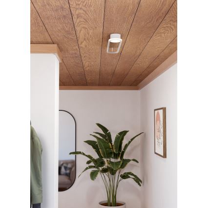 Eglo - LED griestu gaismeklis LED/24W/230V 2700/4000/6500K balta