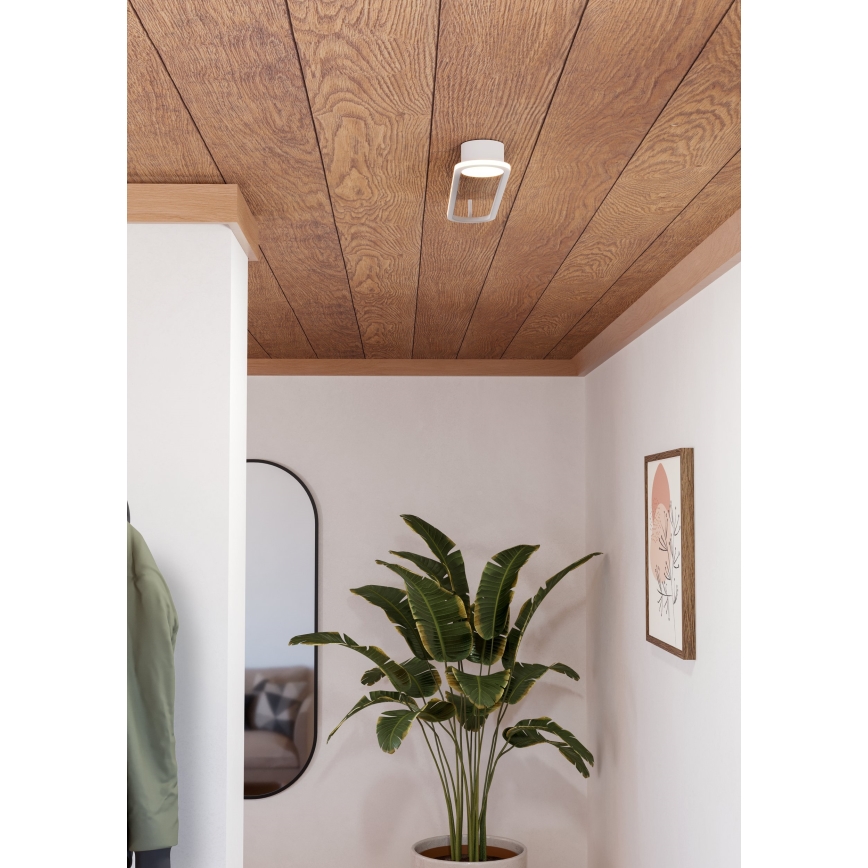 Eglo - LED griestu gaismeklis LED/24W/230V 2700/4000/6500K balta