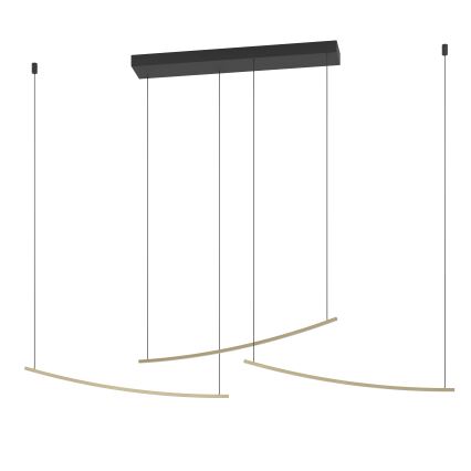 Eglo  - LED lustra ar regulējamu spilgtumu uz kabeļa LED/22W/230V 2700/4000/6500K zelta