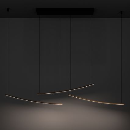Eglo  - LED lustra ar regulējamu spilgtumu uz kabeļa LED/22W/230V 2700/4000/6500K zelta