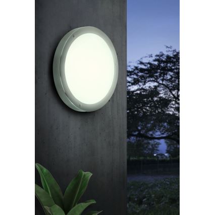 Eglo - LED Āra apgaismojums 3xLED2,5W/230V