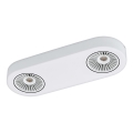 Eglo 94176 - LED lampa MONTALE 2xLED/5,4W/230V