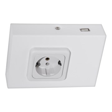 Eglo 94665 - Virtuves zem skapīša kontaktligzda SCHUKO iekļauts USB TAXANO
