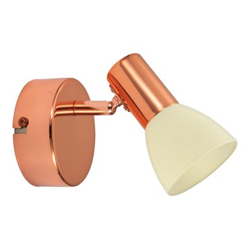 Eglo 94736 - LED spot gaismeklis GLOSSY 2 LED/5W/230V