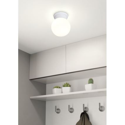 Eglo - Griestu gaismeklis 1xE27/28W/230V