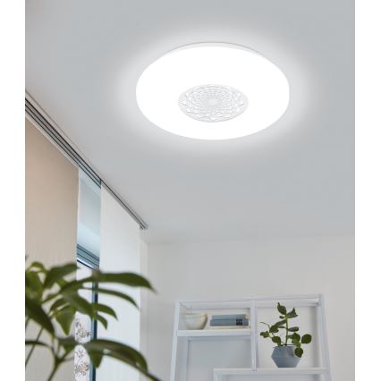 Eglo - LED griestu gaismeklis LED/24W/230V