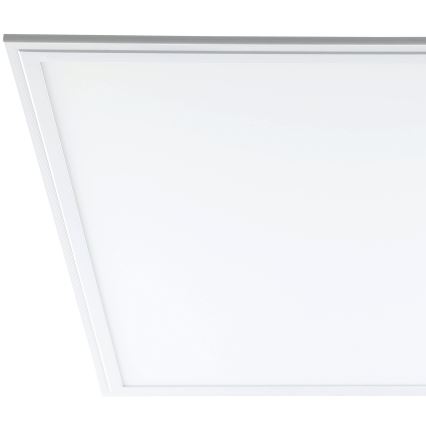 Eglo - LED Griestu panelis LED/40W/230V