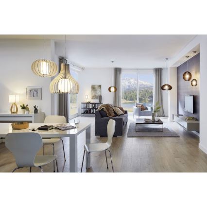 Eglo 96213 - Lustra TINDORI 1xE27/60W/230V