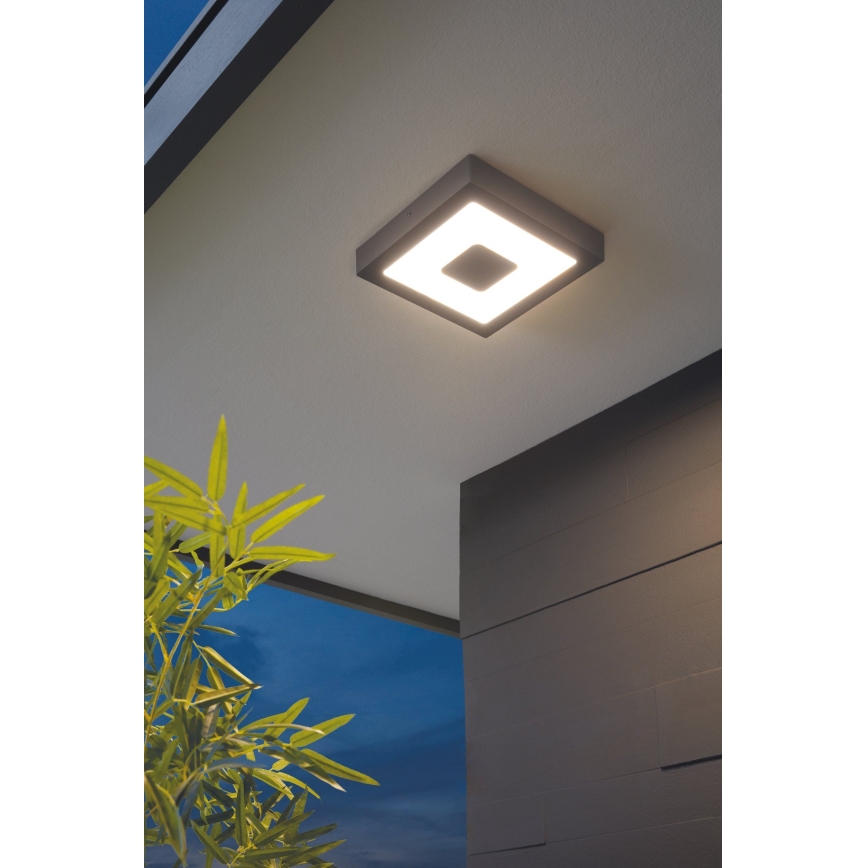 Eglo - LED venkovní Griestu gaismeklis LED/16,5W/230V IP44
