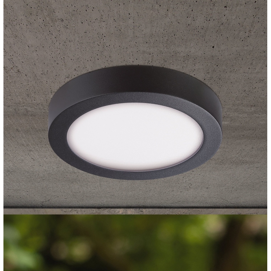 Eglo - Āra LED griestu gaismeklis LED/16,5W/230V IP44