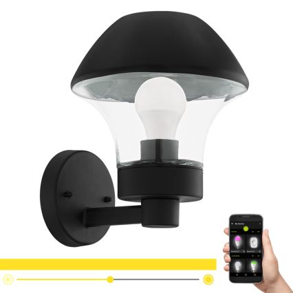 Eglo 97446 - LED Aptumšojama āra sienas gaismeklis VERLUCCA-C 1xE27/9W/230V IP44 Bluetooth