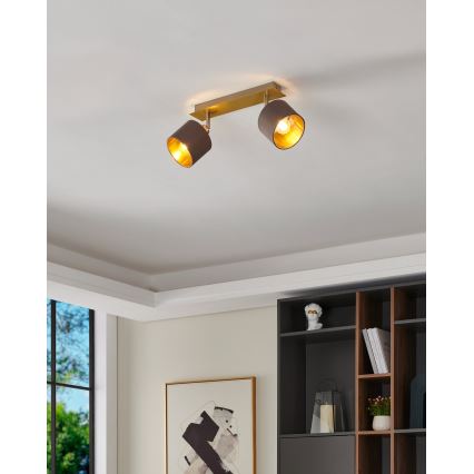 Eglo - Lampa 2xE14/10W/230V