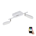 Eglo 97692 - LED RGB Starmetis PALOMBARE-C 2xLED/5W/230V