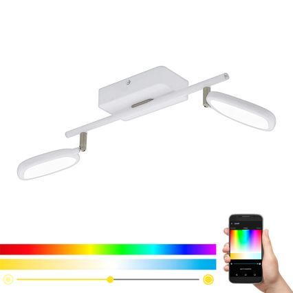 Eglo 97692 - LED RGB Starmetis PALOMBARE-C 2xLED/5W/230V