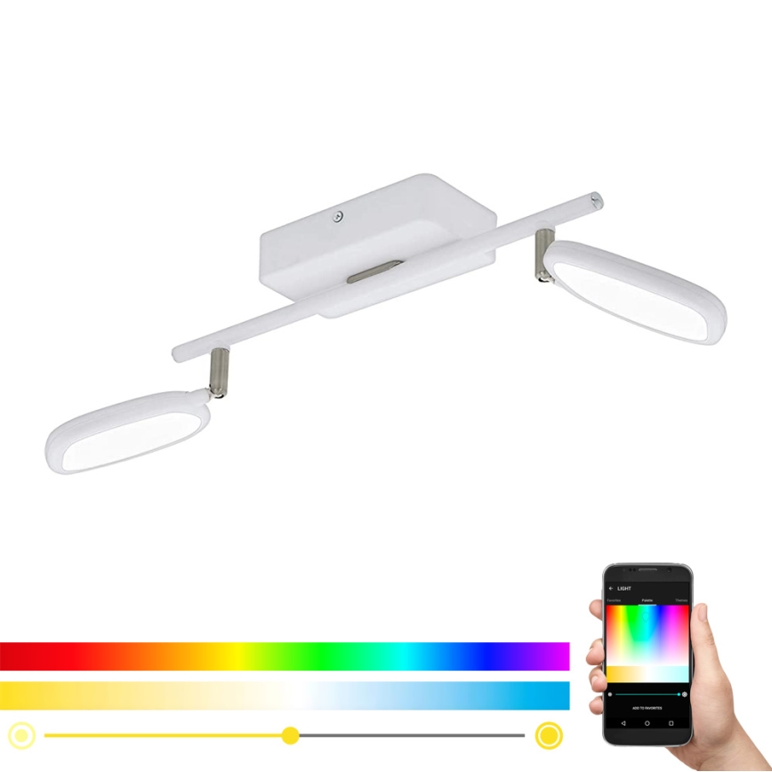 Eglo 97692 - LED RGB Starmetis PALOMBARE-C 2xLED/5W/230V