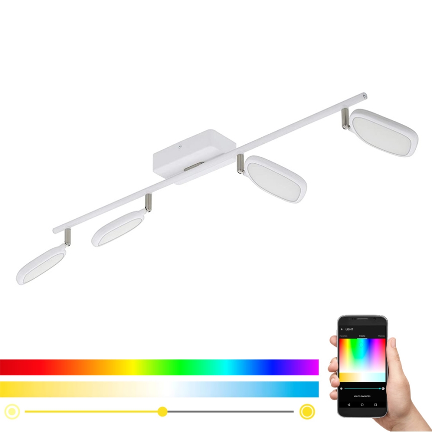 Eglo 97694 - LED RGB Starmetis PALOMBARE-C 4xLED/5W/230V