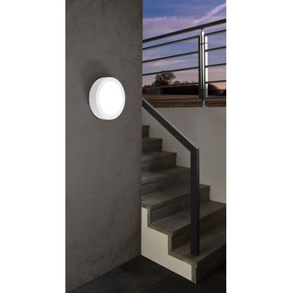 Eglo 98171 - LED regulējams āra gaismeklis ARGOLIS-C LED/16,5W/230V IP44