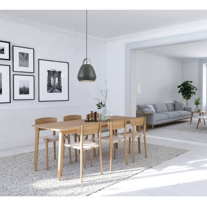 Eglo 98349 - Pakaramais gaismeklis ar vadu BEDNALL 1xE27/60W/230V