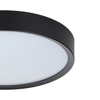 Eglo - LED Griestu gaismeklis LED/16,8W/230V