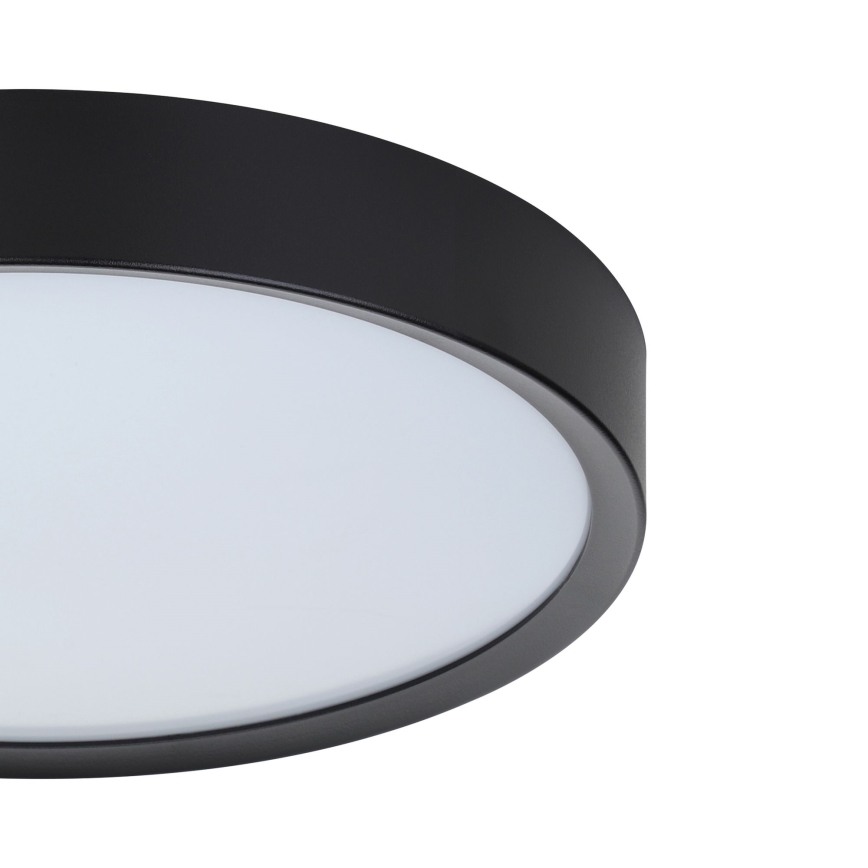 Eglo - LED Griestu gaismeklis LED/16,8W/230V