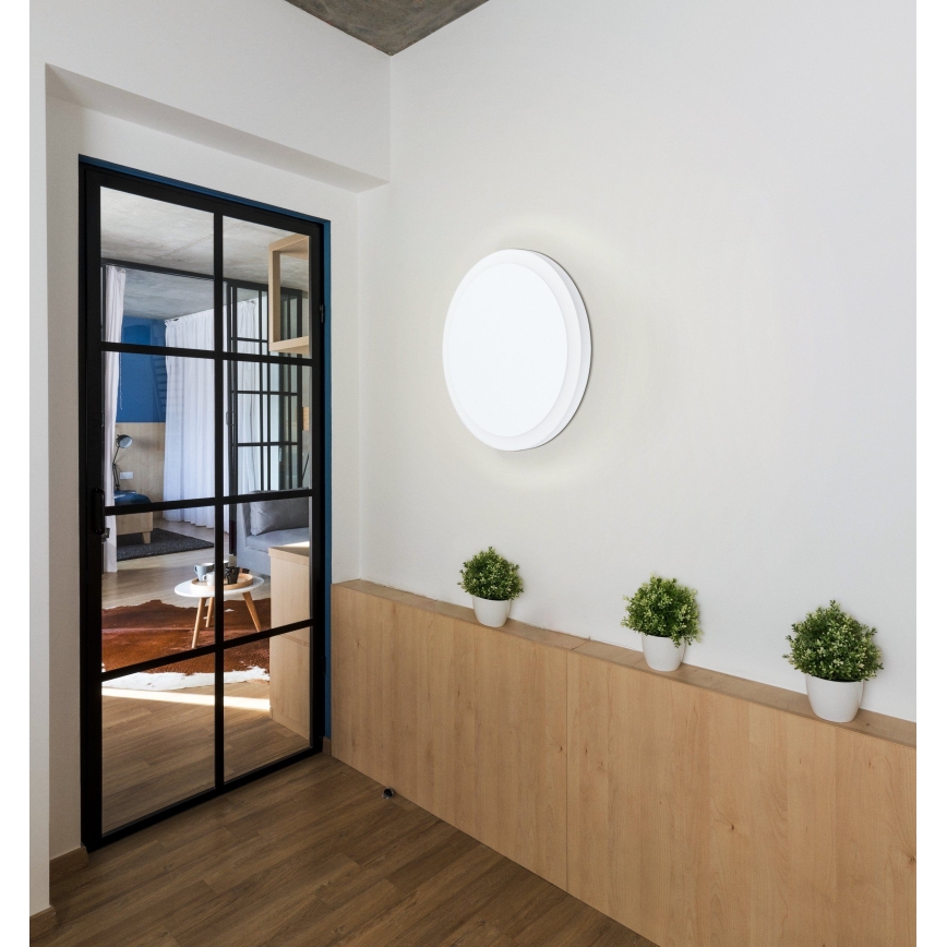 Eglo - LED Griestu gaismeklis LED/8,6W/230V