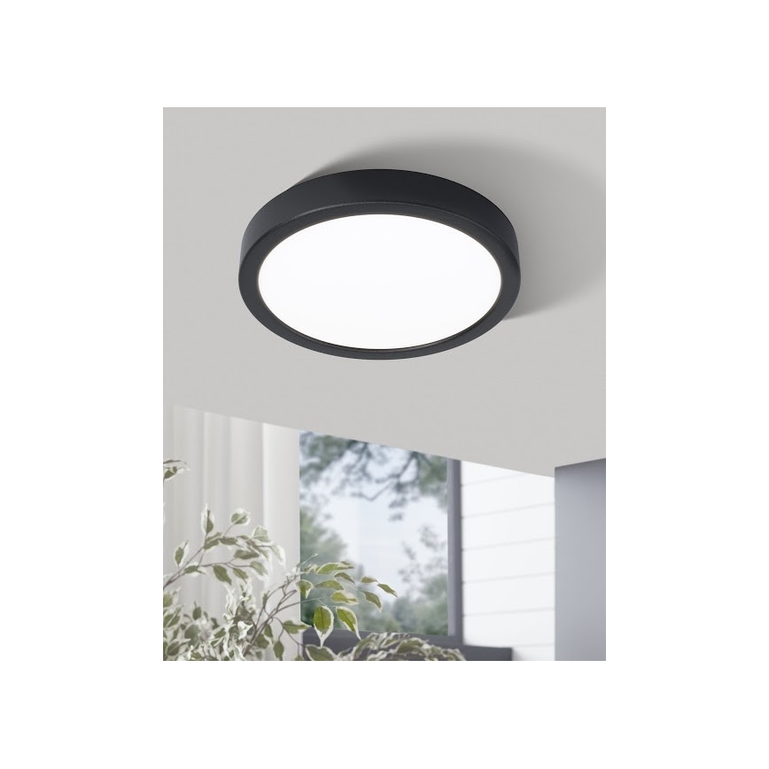 Eglo - LED Griestu gaismeklis LED/20W/230V