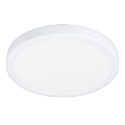 Eglo - LED Vannas istabas griestu gaismeklis LED/20W/230V IP44