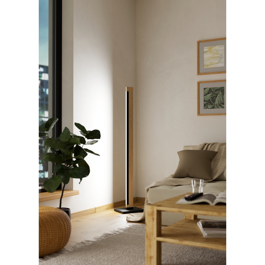 Eglo - LED Aptumšojama skārienvadāma grīdas stāvlampa CAMACHO LED/22W/230V