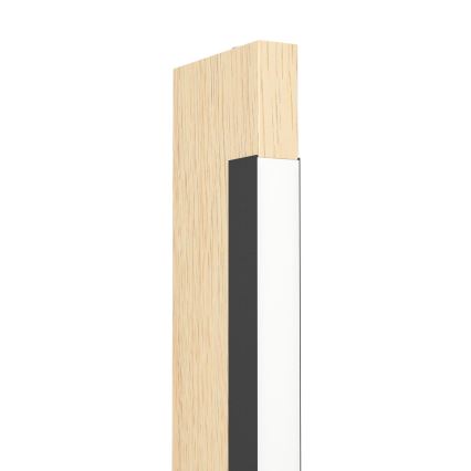 Eglo - LED Aptumšojama skārienvadāma grīdas stāvlampa CAMACHO LED/22W/230V
