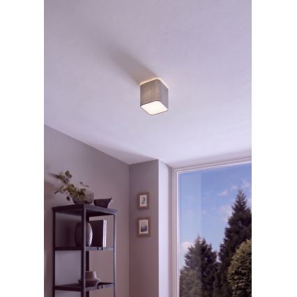Eglo 99304 - Griestu lampa POSADERRA 1xE27/28W/230V