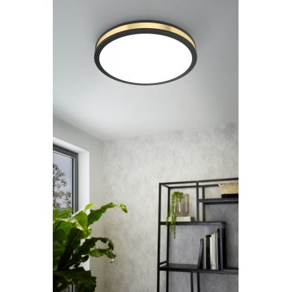 Eglo - LED Griestu gaismeklis LED/24W/230V