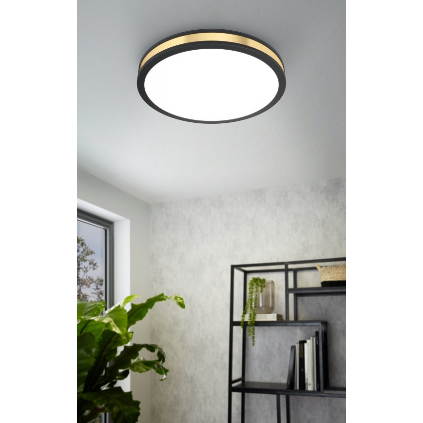 Eglo - LED Griestu gaismeklis LED/24W/230V