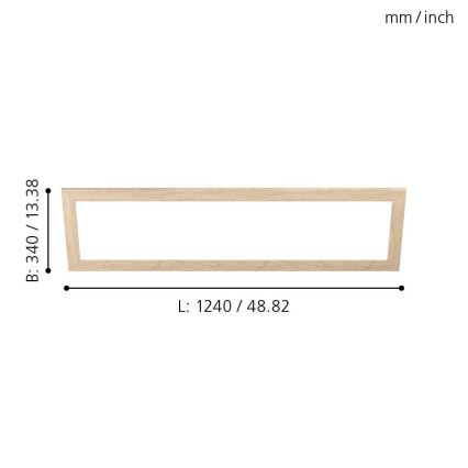 Eglo - Gaismekļa rāmis SALOBRENA 300x1200 mm