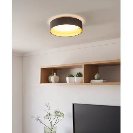 Eglo - LED Griestu gaismeklis LED/24W/230V