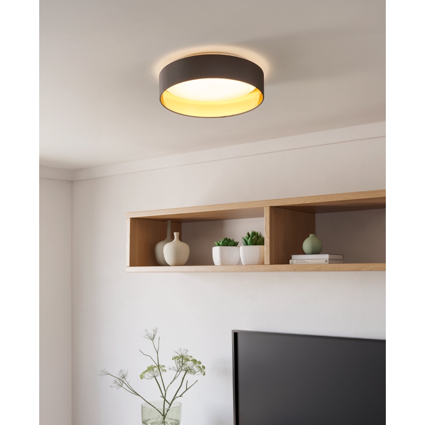 Eglo - LED Griestu gaismeklis LED/24W/230V