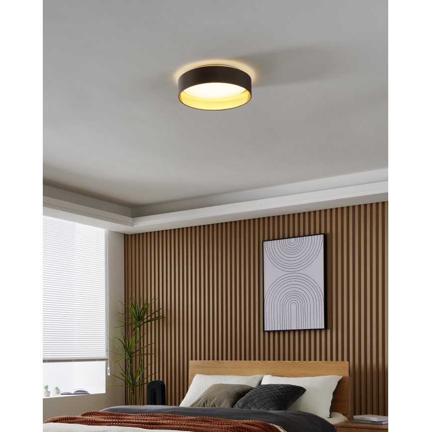 Eglo - LED Griestu gaismeklis LED/24W/230V