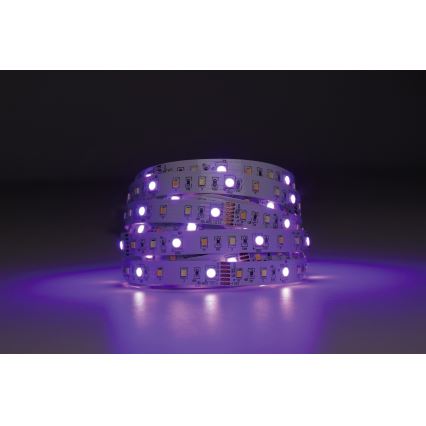 Eglo - LED RGBW Aptumšojama josla 5m LED/11W/12/230V 2700-6500K ZigBee