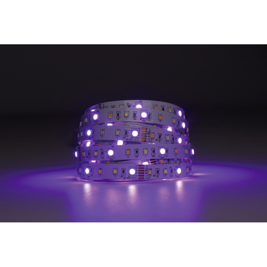 Eglo - LED RGBW Aptumšojama josla 5m LED/11W/12/230V 2700-6500K ZigBee