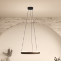 Eglo – aptumšojama LED lustra uz troses ar kustības sensoru, 2×LED, 19 W, 230 V, 2200–6500 K, diam. 55 cm, brūna