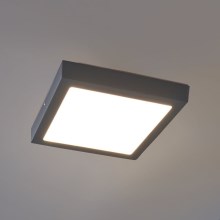 Eglo - Āra LED griestu gaismeklis LED/22W IP44