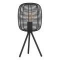 Eglo - Galda lampa 1xE27/40W/230V