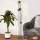 Eglo - Grīdas lampa 2xE14/8W/230V zaļa