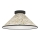 Eglo - Griestu lampa 1xE27/25W/230V