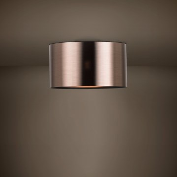 Eglo - Griestu lampa 1xE27/25W/230V varš