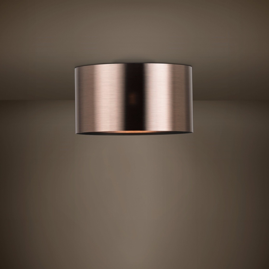 Eglo - Griestu lampa 1xE27/25W/230V varš