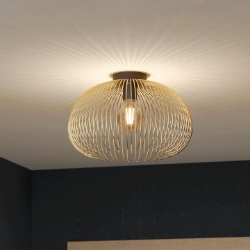 Eglo - Griestu lampa 1xE27/40W/230V