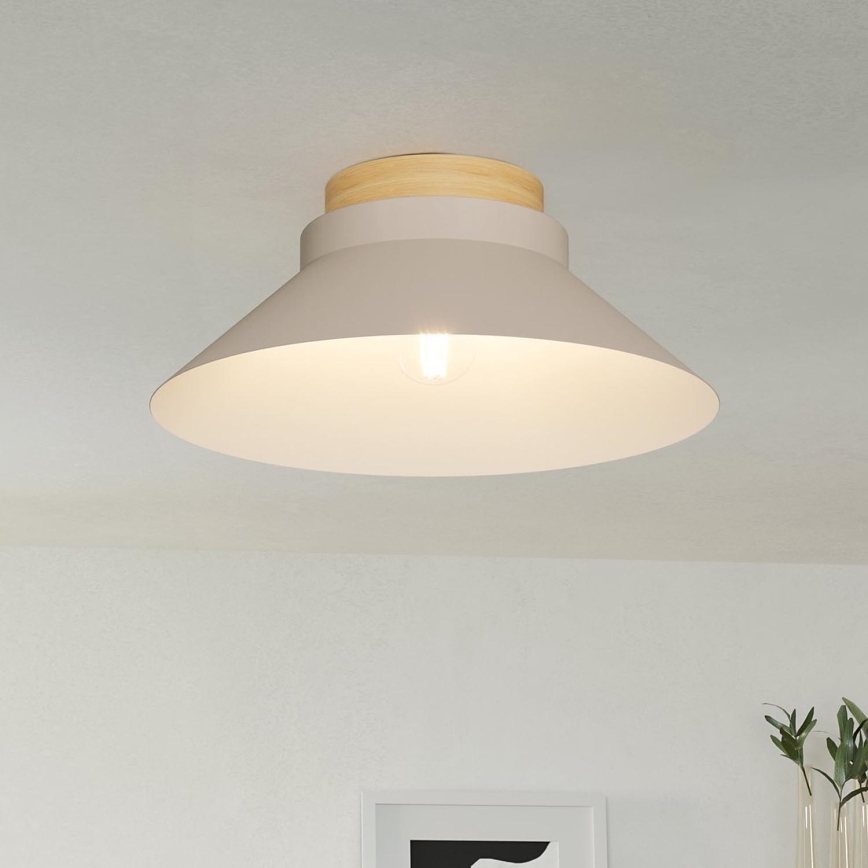 Eglo - Griestu lampa 1xE27/40W/230V