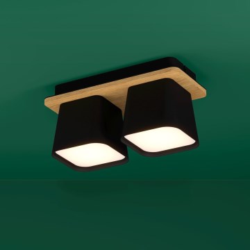 Eglo - Griestu lampa 2xE27/40W/230V melna/brūna