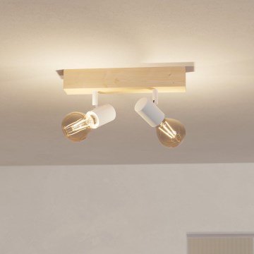 Eglo - Lampa TOWNSHEND 2xE27/60W/230V