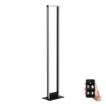 Eglo - LED Aptumšojama grīdas stāvlampa LED/33W/230V 2700-6500K